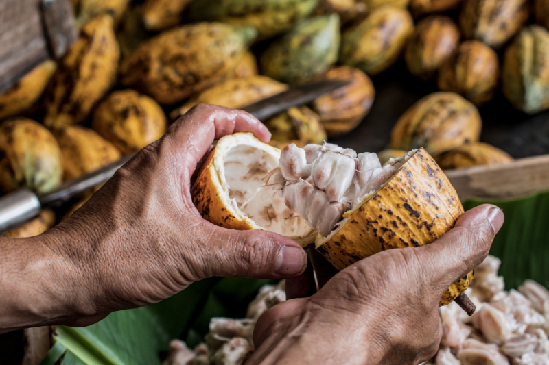 Diseño sin título (46)